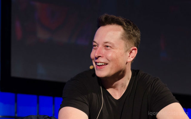 Elon Musk Zeka Kapasitesi